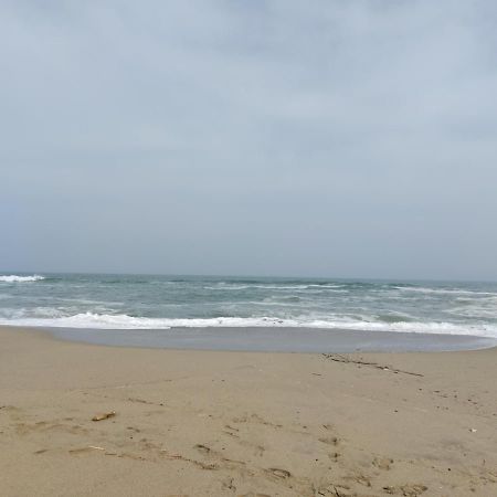 Saint Cyprien - Appart - Piscine-Mer المظهر الخارجي الصورة