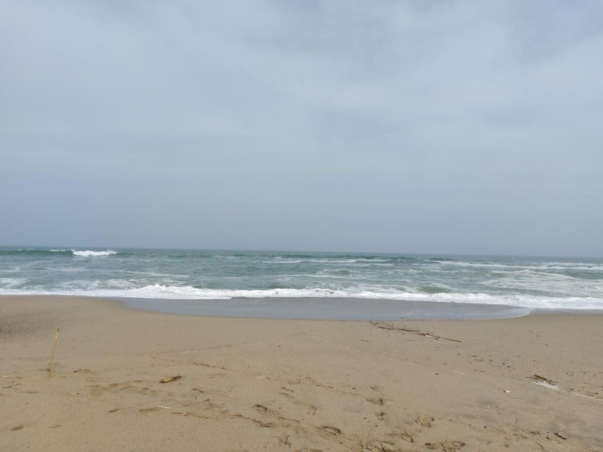 Saint Cyprien - Appart - Piscine-Mer المظهر الخارجي الصورة